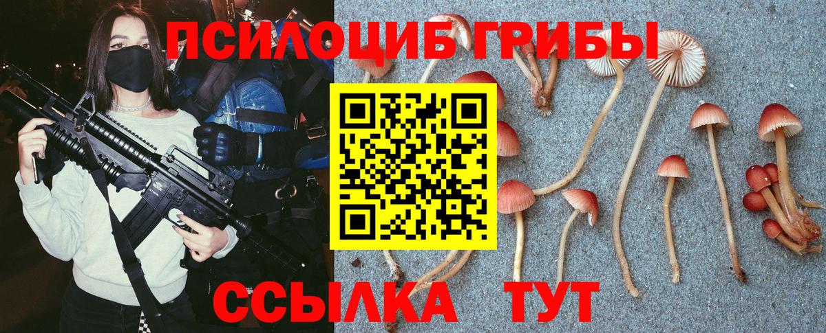 Каменка  хочу наркоту  Вход с VPN  Псилоцибиновые грибы Cubensis 