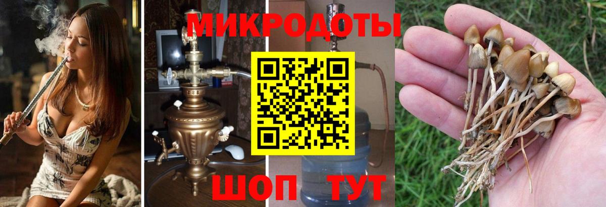 Галлюциногенные грибы мухоморы Каменка