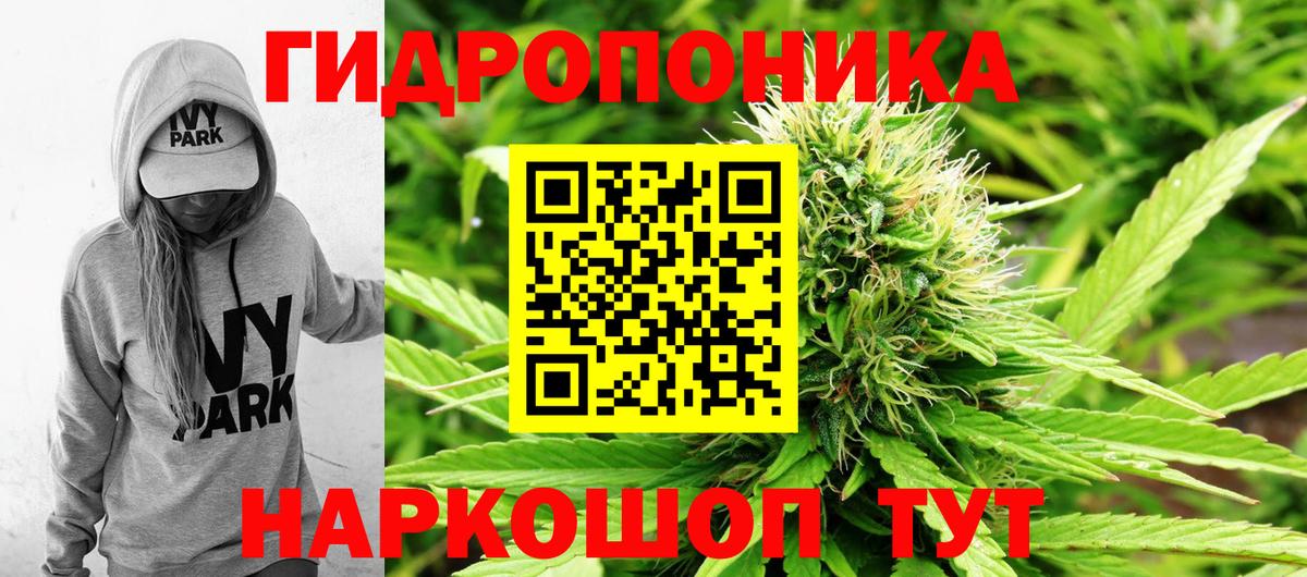 Бошки Шишки сатива  Вход с VPN  Каменка  Шишки марихуана AK-47  Каннабис ГИДРОПОН 